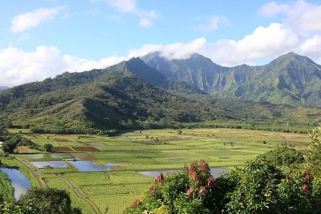 Kauai Movie Tour with Island Hopping from Oahu - Image 3
