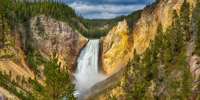 Bozeman Yellowstone Upper Loop Day Tour - Image 5