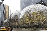 Seattle City Tour Private and Flexible 3 hr thumbnail 5
