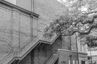 Savannah Photography Tour with Local Photographer 2 hr thumbnail 2