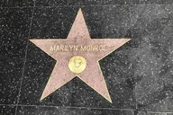 Hollywood Haunted Puzzle Walk thumbnail 4