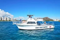 Oahu Turtle Snorkel Tour thumbnail 4