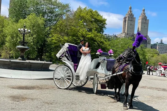 New York Central Park Horse Carriage Ride - Image 6