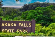 Hilo Waterfalls and Volcanoes Guided Tour thumbnail 1
