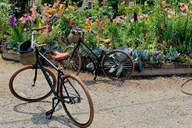 Richmond Art and Secret Garden Bike Tour thumbnail 1