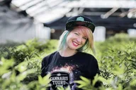 Denver Private Luxury Cannabis Tour thumbnail 1
