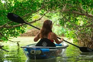Tampa Bay Clear Kayak Tour of Shell Key Preserve thumbnail 1