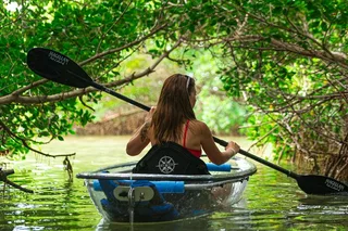 Tampa Bay Clear Kayak Tour of Shell Key Preserve