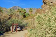 Palm Springs Indian Canyons Jeep and Hiking Tour thumbnail 3
