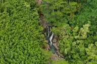 Maui Road to Hana Private Tour thumbnail 5
