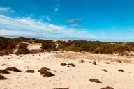 Cape Cod National Seashore Guided Hike thumbnail 6