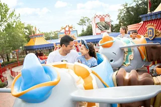 Orlando Disney World Admission with Water Park Option