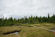 Haines Mount Riley Hike thumbnail 4