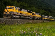 Anchorage to Denali Train Journey thumbnail 4