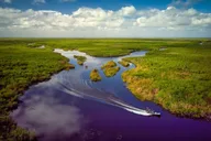 Miami Everglades Eco Adventure thumbnail 5
