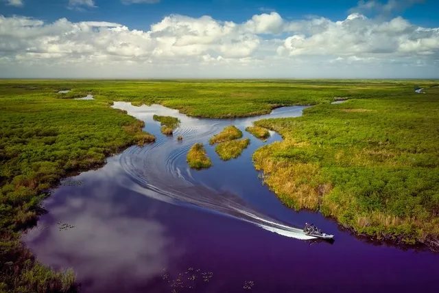 Miami Everglades Eco Adventure - Image 5