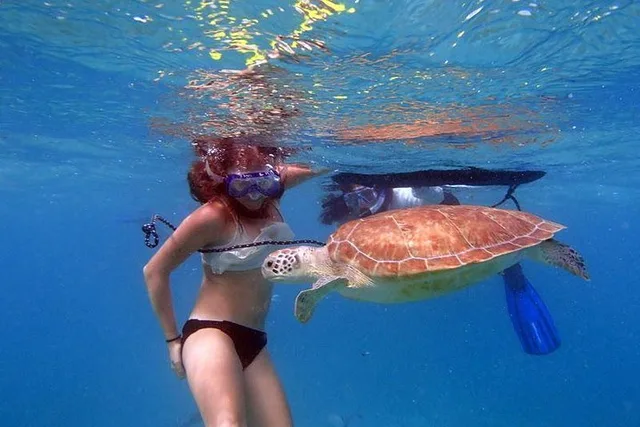 Islamorada Eco Tour: Snorkel, Kayak, and Lunch - Image 6