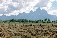 Jackson Grand Teton Sunrise Wildlife Safari thumbnail 6