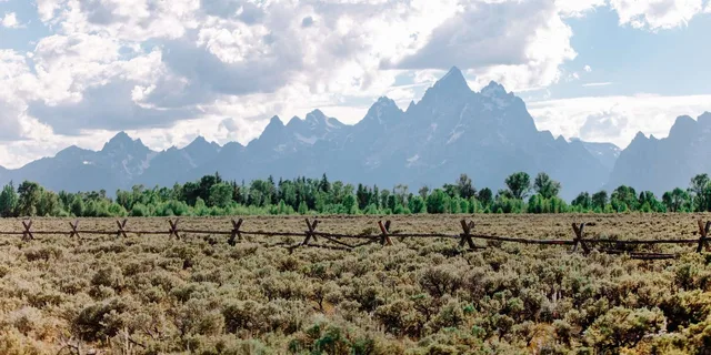 Jackson Grand Teton Sunrise Wildlife Safari - Image 6