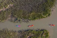 Charleston Folly River Kayak Dolphin Safari at Sunset thumbnail 5