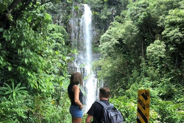 Oahu Private Island Tour - Image 3