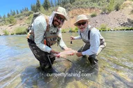 Truckee Fly Fishing Guide Trip 5 hr thumbnail 1