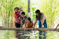 Phoenix Zoo General Admission Ticket thumbnail 3