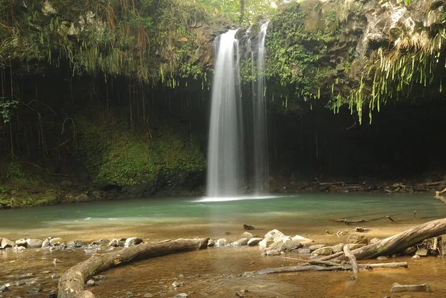 Maui North Shore Photography Tour - Image 1