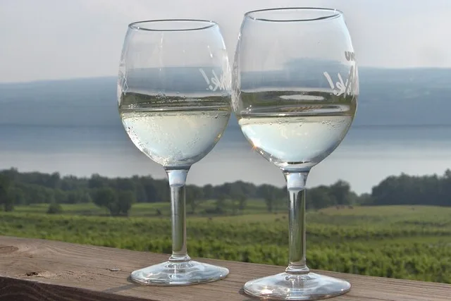 Seneca Lake Wine Tasting Tour - Image 1