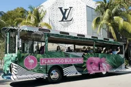 Miami Open-Air Trolley Tour thumbnail 1