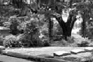 Savannah Walking Tour: Midnight in the Garden thumbnail 2