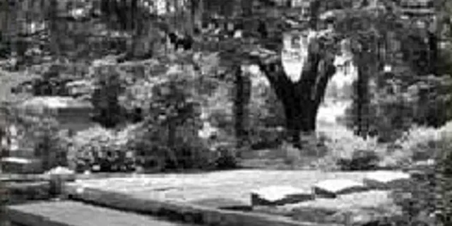 Savannah Walking Tour: Midnight in the Garden - Image 2