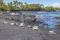 Hawaii Volcanoes National Park and Black Sand Beaches Tour thumbnail 3