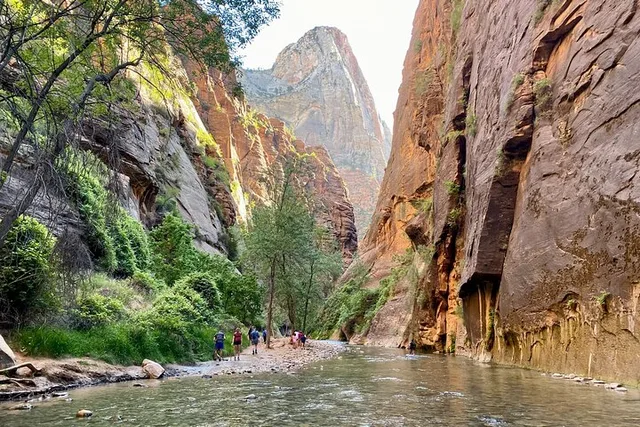 Zion National Park Guided Hike in The Narrows - Image 3