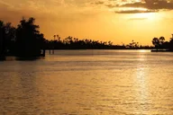 Crystal River Wildlife Boat Tour with Naturalist Guide thumbnail 1