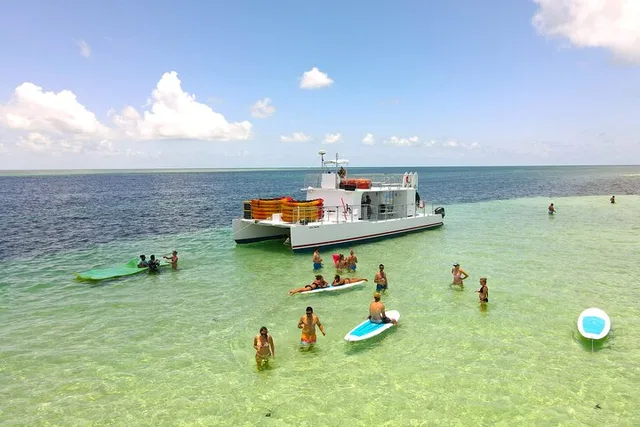 Key West Sandbar Kayak Tour with Lunch and Drinks - Image 3
