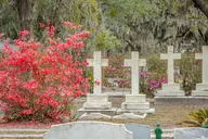 Savannah Cemetery and Historic Site Tour thumbnail 6