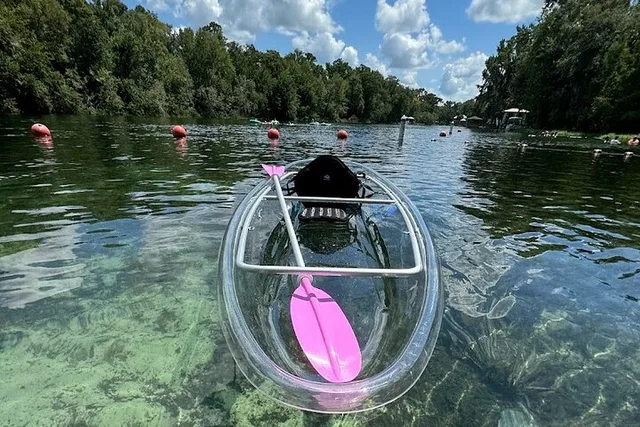 Dunnellon Clear Kayak Rentals on Rainbow River - Image 5