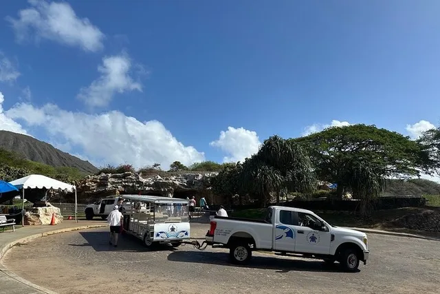Honolulu Snorkel Lesson at Hanauma Bay 1 hr - Image 6