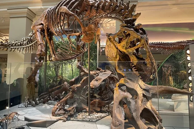 Washington DC Natural History Museum Guided Tour - Image 2