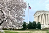 Washington D.C. Photoshoot at the White House & Supreme Court thumbnail 2