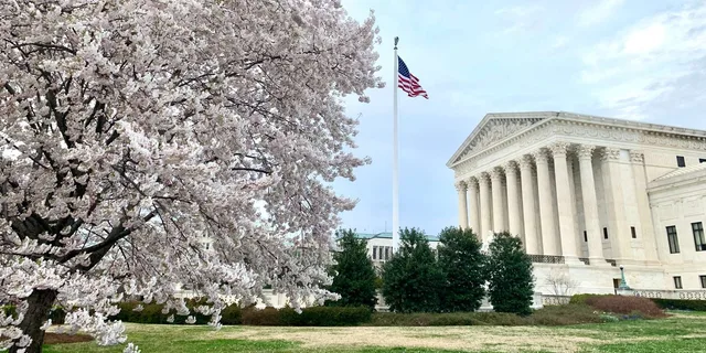 Washington D.C. Photoshoot at the White House & Supreme Court - Image 2