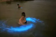 Orlando Bioluminescence Kayak Tour thumbnail 5