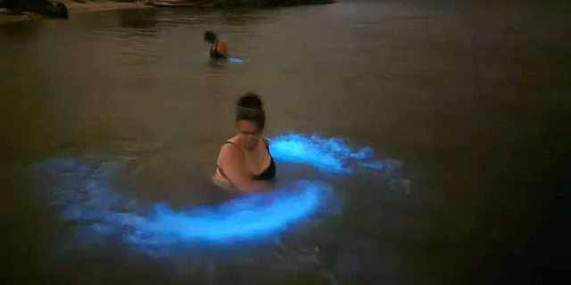 Orlando Bioluminescence Kayak Tour - Image 5