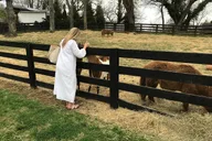 Washington DC Virginia Winery Wine Tasting Tour thumbnail 6
