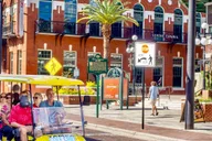 Tampa City Tour in Electric Golf Cart thumbnail 4