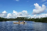 New Smyrna Beach Kayaking Ecotour thumbnail 5