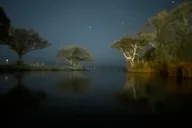 Destin Haunted Clear Kayak Glow Tour thumbnail 2