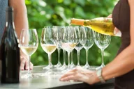 San Francisco Napa Valley Private Tour thumbnail 6