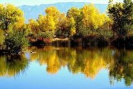 Albuquerque Private Full-Day Tour thumbnail 4